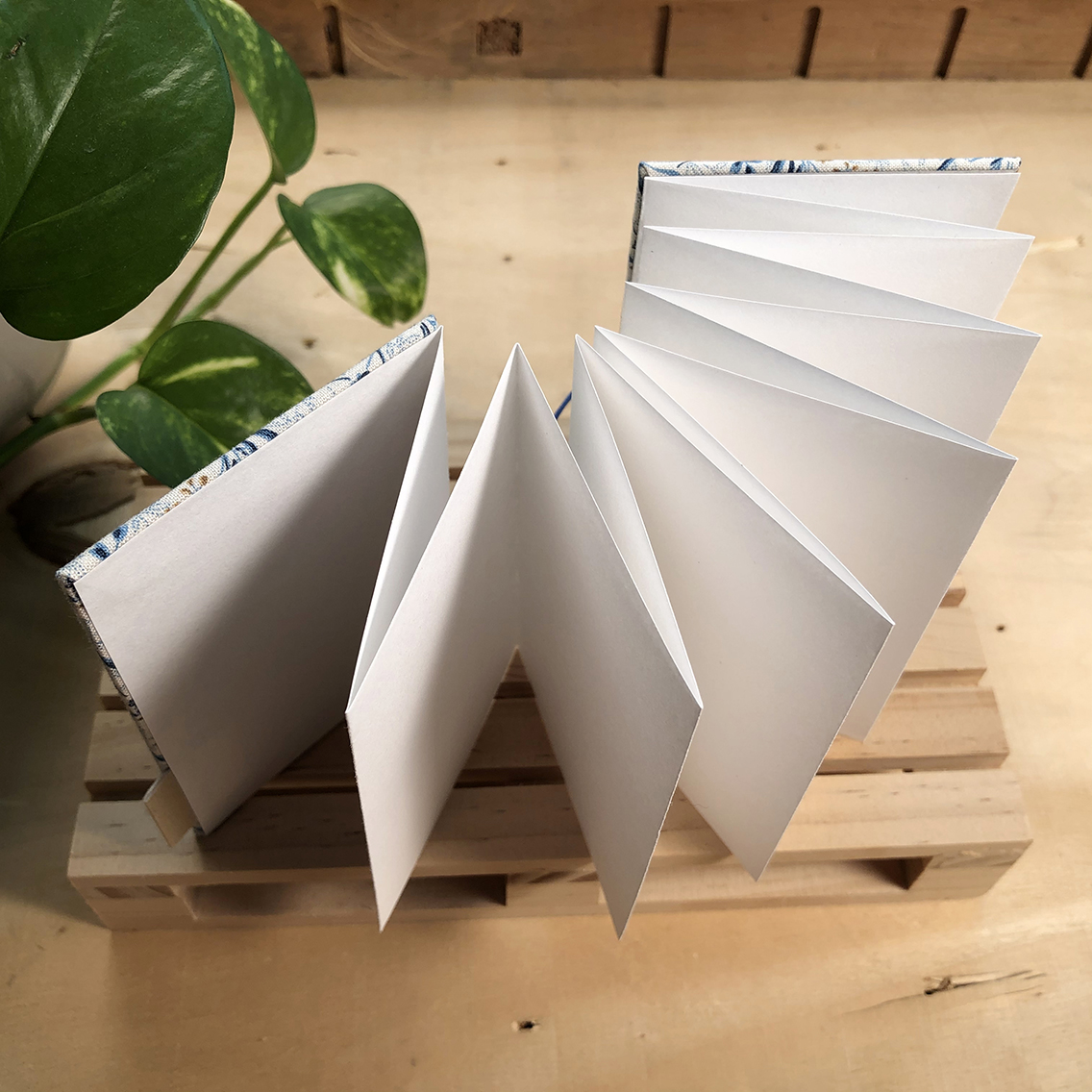 Regency_leporello_giapponese_dettaglio_1