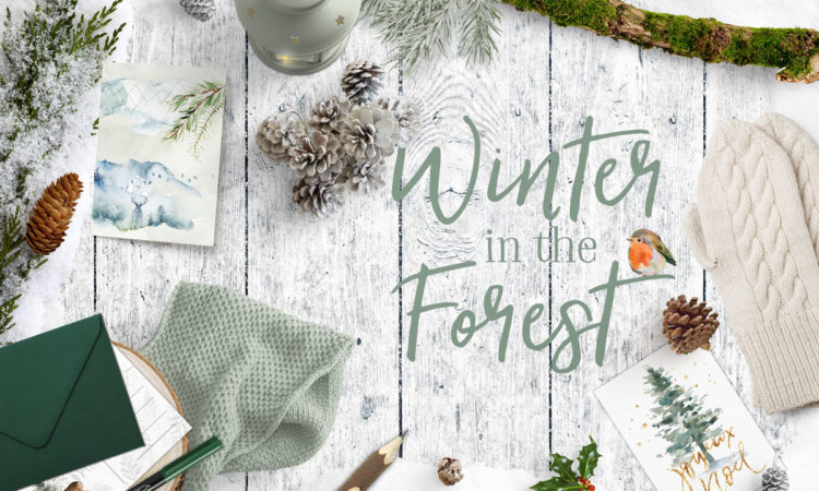 winter-forest-tema-dicembre-paperbox